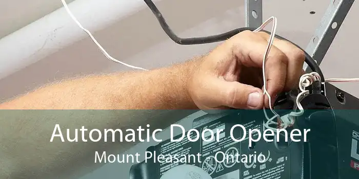 Automatic Door Opener Mount Pleasant - Ontario