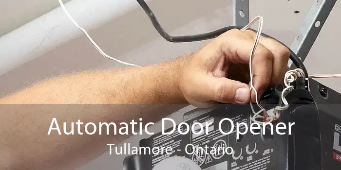 Automatic Door Opener Tullamore - Ontario