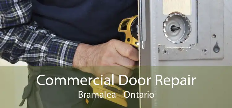 Commercial Door Repair Bramalea - Ontario