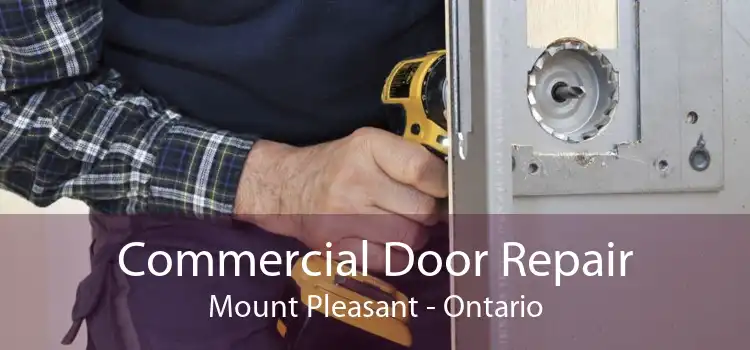 Commercial Door Repair Mount Pleasant - Ontario