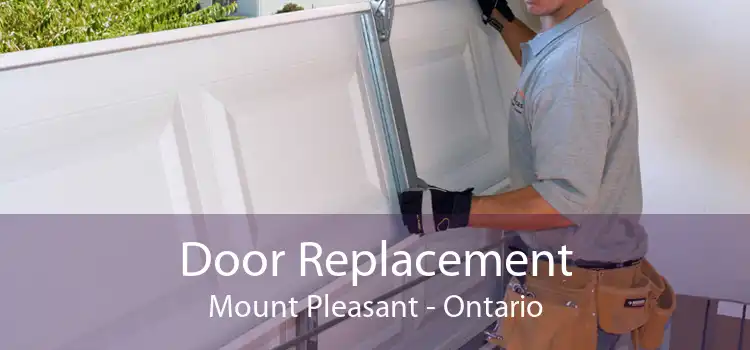 Door Replacement Mount Pleasant - Ontario