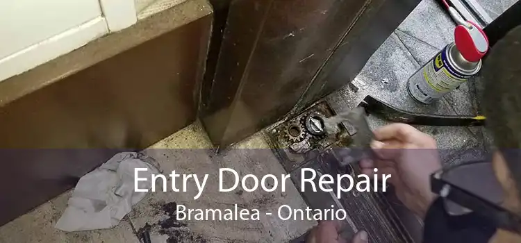 Entry Door Repair Bramalea - Ontario