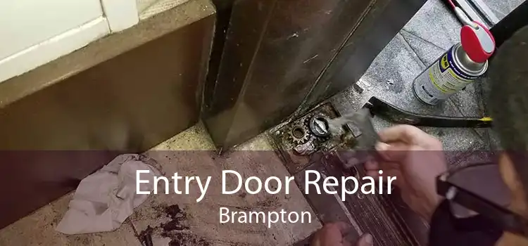 Entry Door Repair Brampton