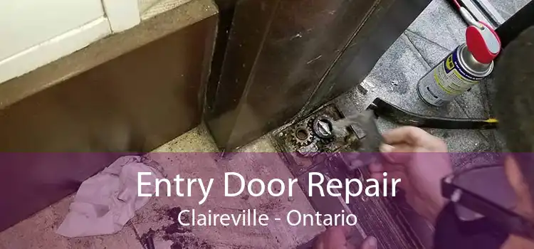 Entry Door Repair Claireville - Ontario