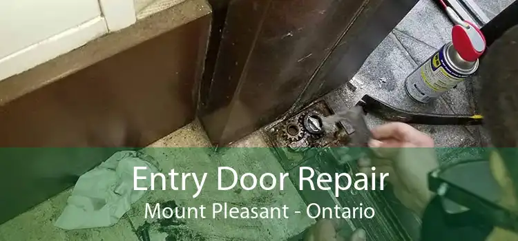 Entry Door Repair Mount Pleasant - Ontario