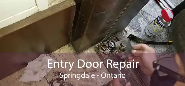 Entry Door Repair Springdale - Ontario