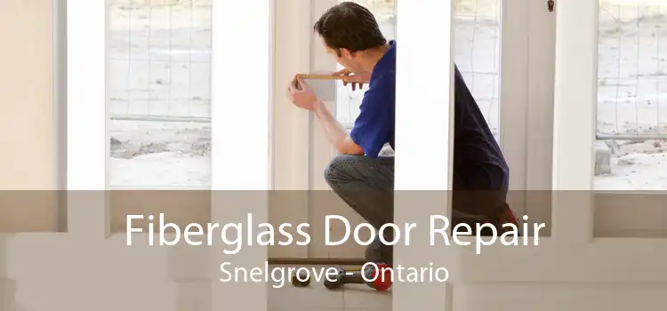 Fiberglass Door Repair Snelgrove - Ontario