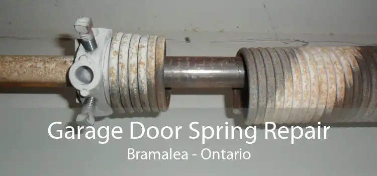 Garage Door Spring Repair Bramalea - Ontario