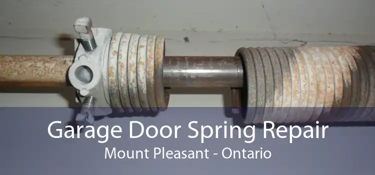 Garage Door Spring Repair Mount Pleasant - Ontario