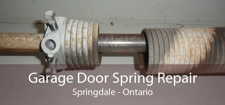 Garage Door Spring Repair Springdale - Ontario