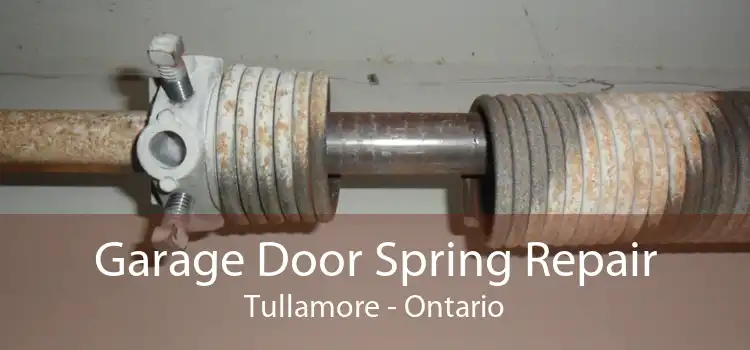 Garage Door Spring Repair Tullamore - Ontario