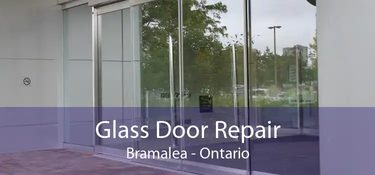 Glass Door Repair Bramalea - Ontario