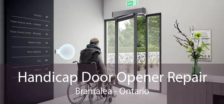Handicap Door Opener Repair Bramalea - Ontario