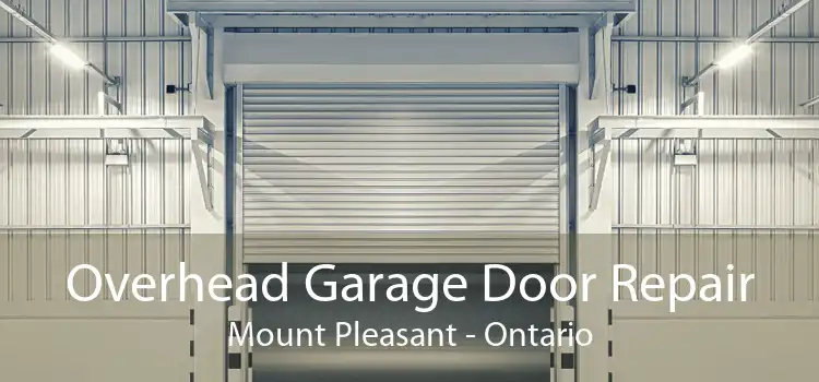 Overhead Garage Door Repair Mount Pleasant - Ontario