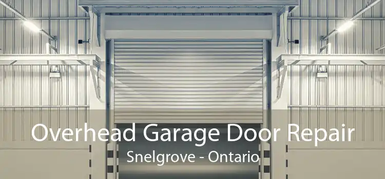 Overhead Garage Door Repair Snelgrove - Ontario
