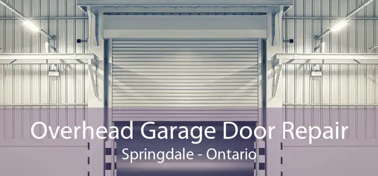 Overhead Garage Door Repair Springdale - Ontario