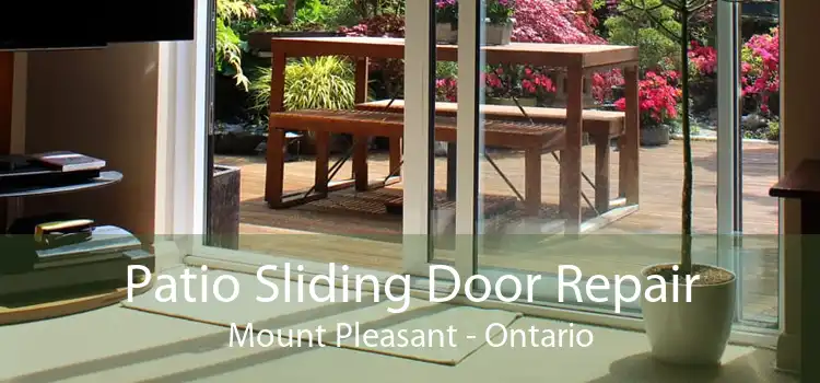 Patio Sliding Door Repair Mount Pleasant - Ontario