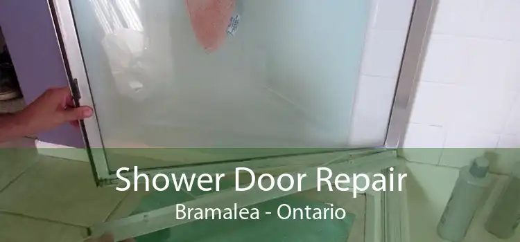 Shower Door Repair Bramalea - Ontario