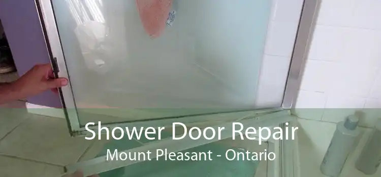 Shower Door Repair Mount Pleasant - Ontario