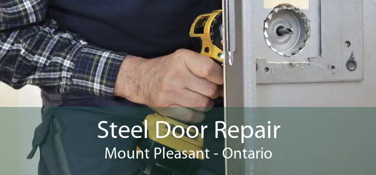 Steel Door Repair Mount Pleasant - Ontario