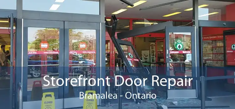 Storefront Door Repair Bramalea - Ontario