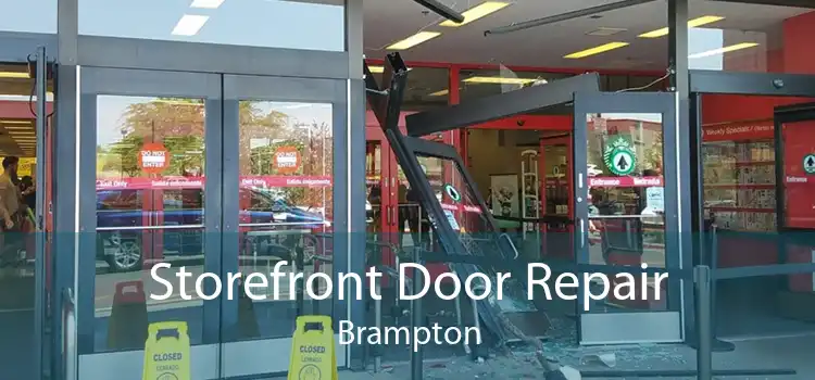Storefront Door Repair Brampton