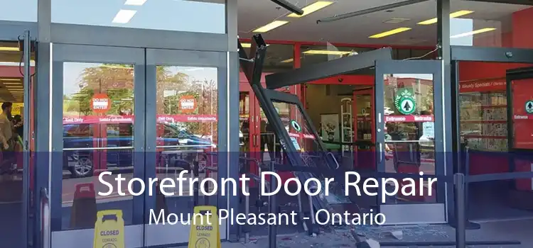 Storefront Door Repair Mount Pleasant - Ontario