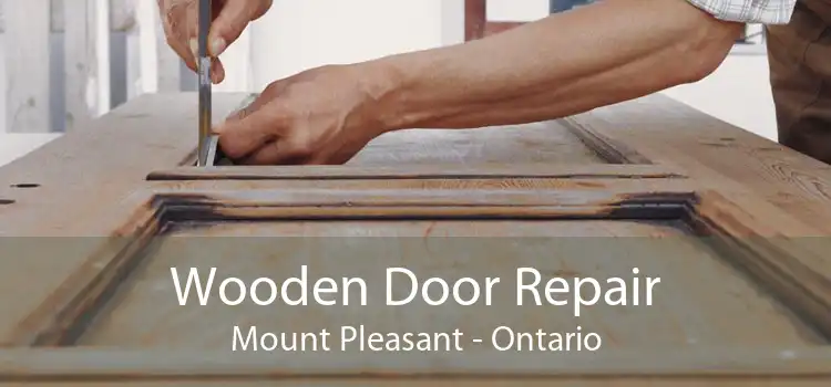 Wooden Door Repair Mount Pleasant - Ontario