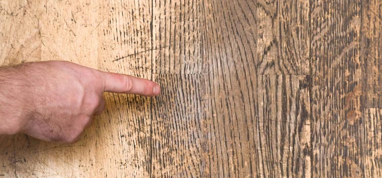 Wood Door Scratch Repair in Churchville